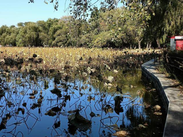 这地方是皇太极的归宿,如今怎么看起来像一个大公园?15