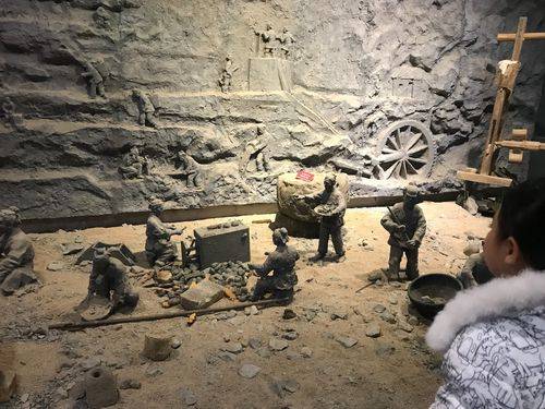 上百米厚的煤层是如何形成的?远古的地球有那么多的植物吗?6