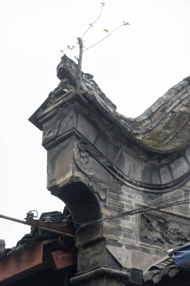 元通古镇,成都周边千年古镇,感觉时光在这里放慢了速度9