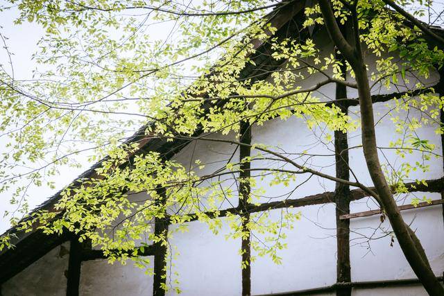 元通古镇,成都周边千年古镇,感觉时光在这里放慢了速度10