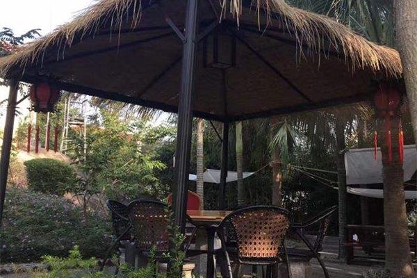 2022厦门泡茶休闲好去处1