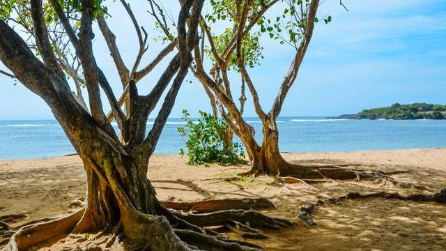 巴厘岛绝美海滩太多了,随便逛就是风景,找机会再来一次吧10