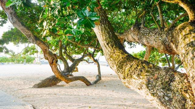 巴厘岛绝美海滩太多了,随便逛就是风景,找机会再来一次吧19