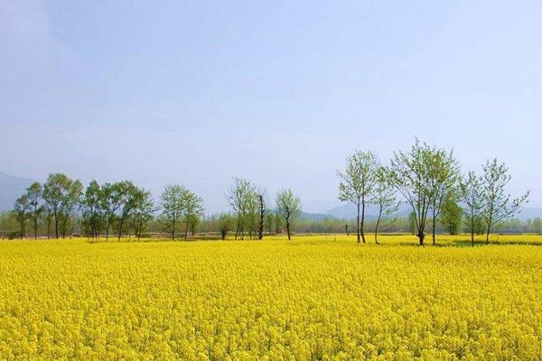 苏州春天好玩吗?2022苏州春游攻略2