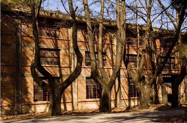 云南一座废弃的“军工厂”,曾经生产水下鱼雷,如今却荒草丛生3