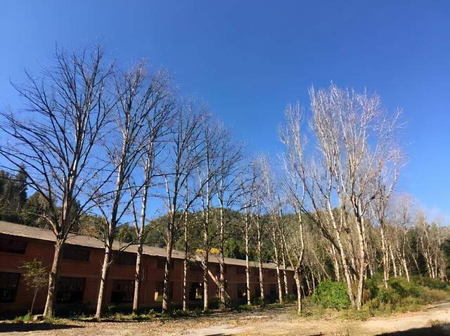 云南一座废弃的“军工厂”,曾经生产水下鱼雷,如今却荒草丛生5