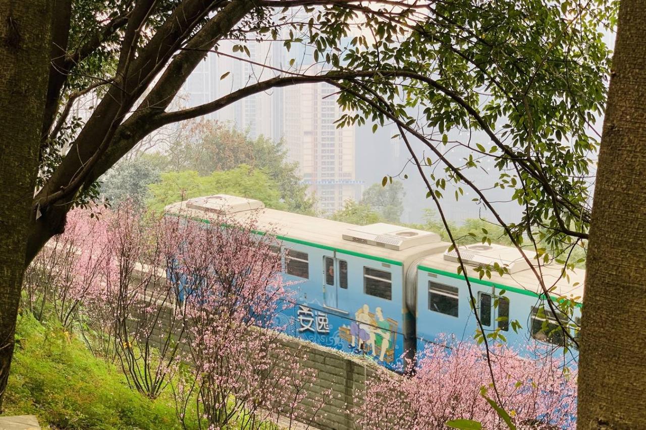 重庆开往春天的列车背后：无人机乱飞，树枝被折断，游客很失望1