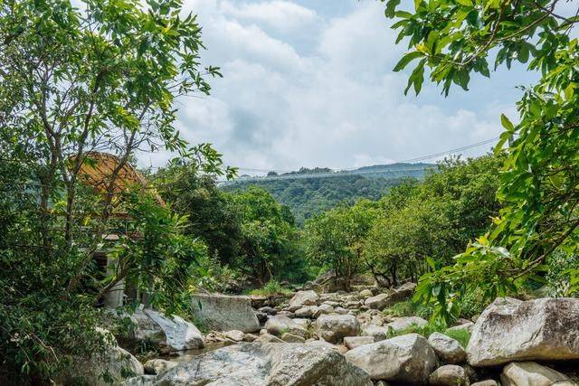 云浮吸收负氧离子的好地方,人少景色美,赶紧来打卡19