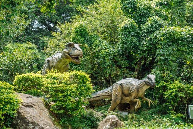 云浮吸收负氧离子的好地方,人少景色美,赶紧来打卡23