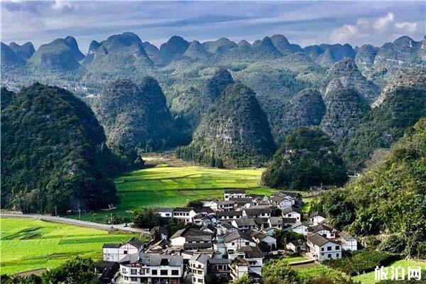 2022万峰林油菜花花期及开花时间介绍1