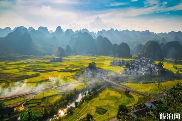 2022万峰林油菜花花期及开花时间介绍2