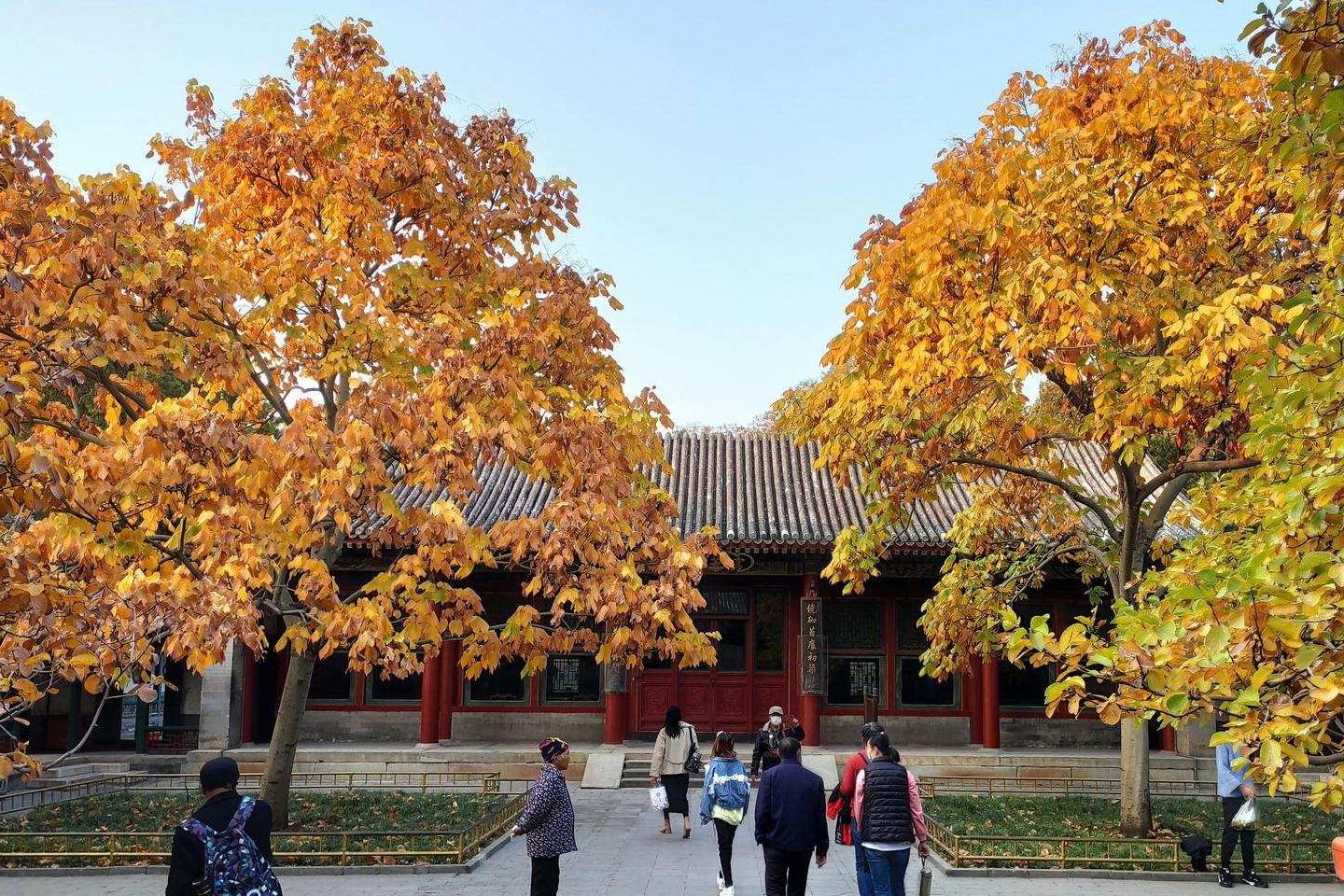 原创 余晖中的颐和园湖边，万寿山上的精灵，宁静的后湖4