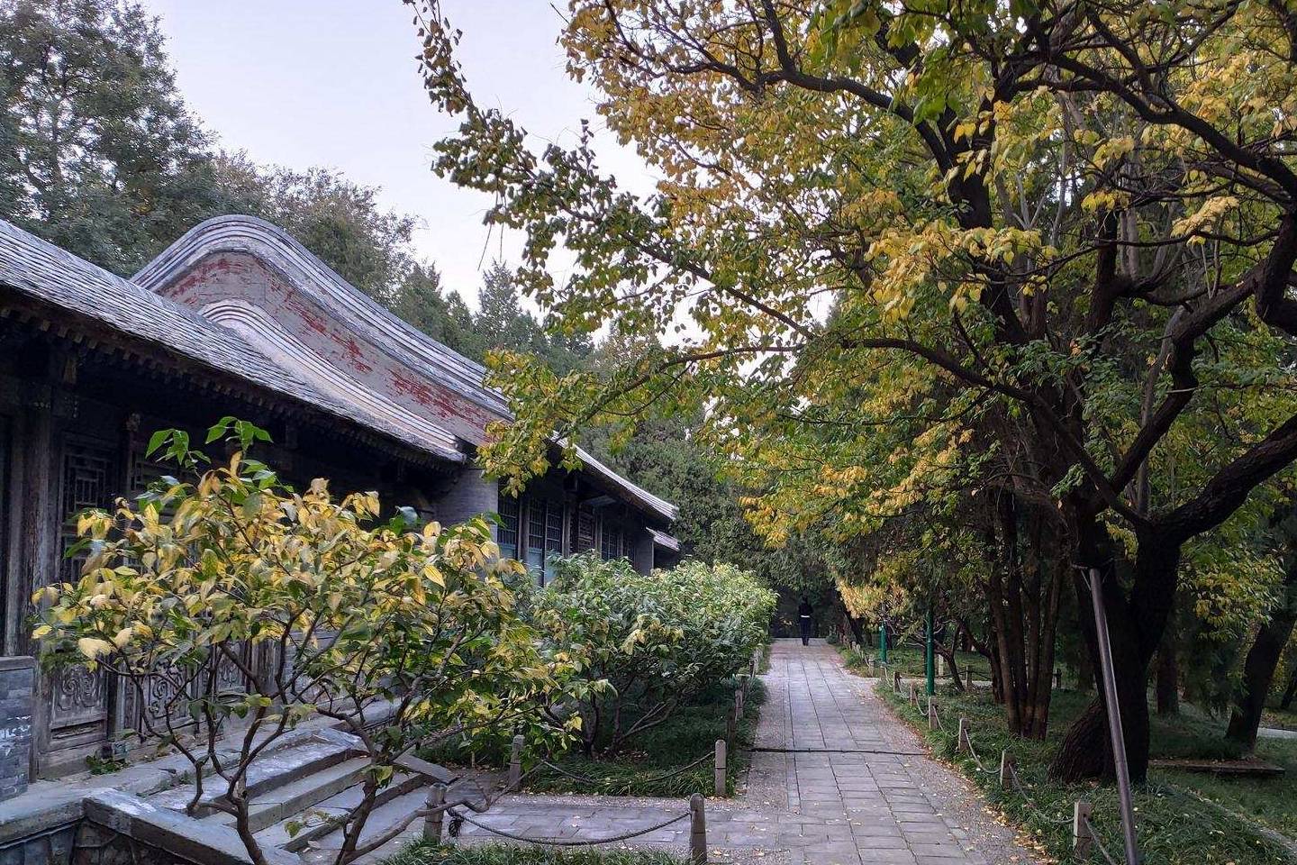 原创 余晖中的颐和园湖边，万寿山上的精灵，宁静的后湖8