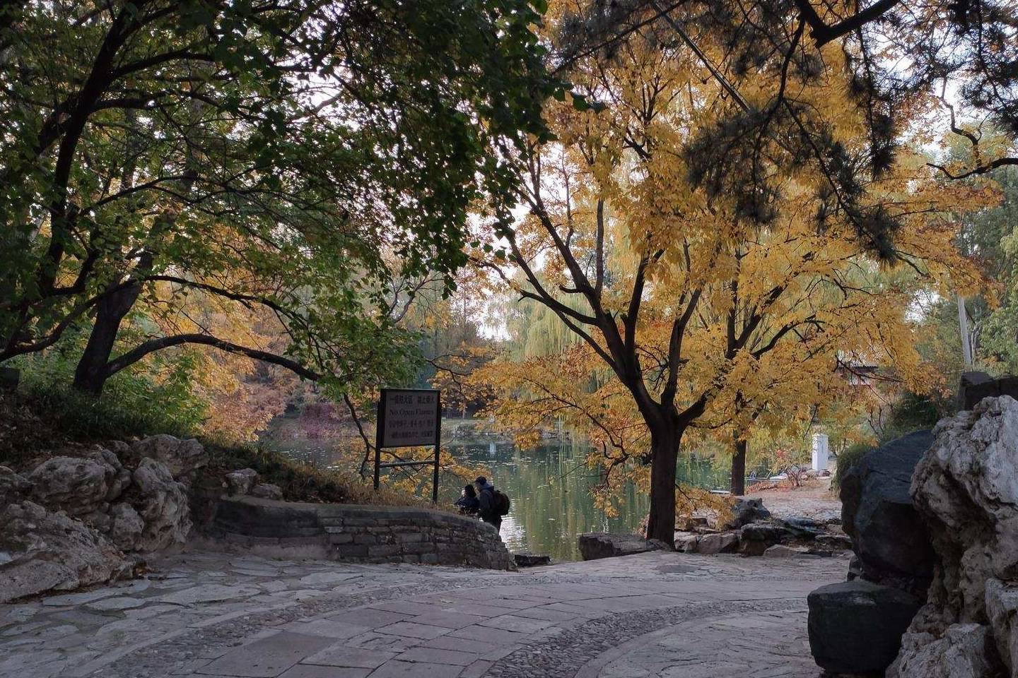 原创 余晖中的颐和园湖边，万寿山上的精灵，宁静的后湖15