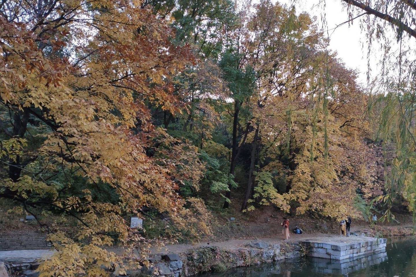 原创 余晖中的颐和园湖边，万寿山上的精灵，宁静的后湖16