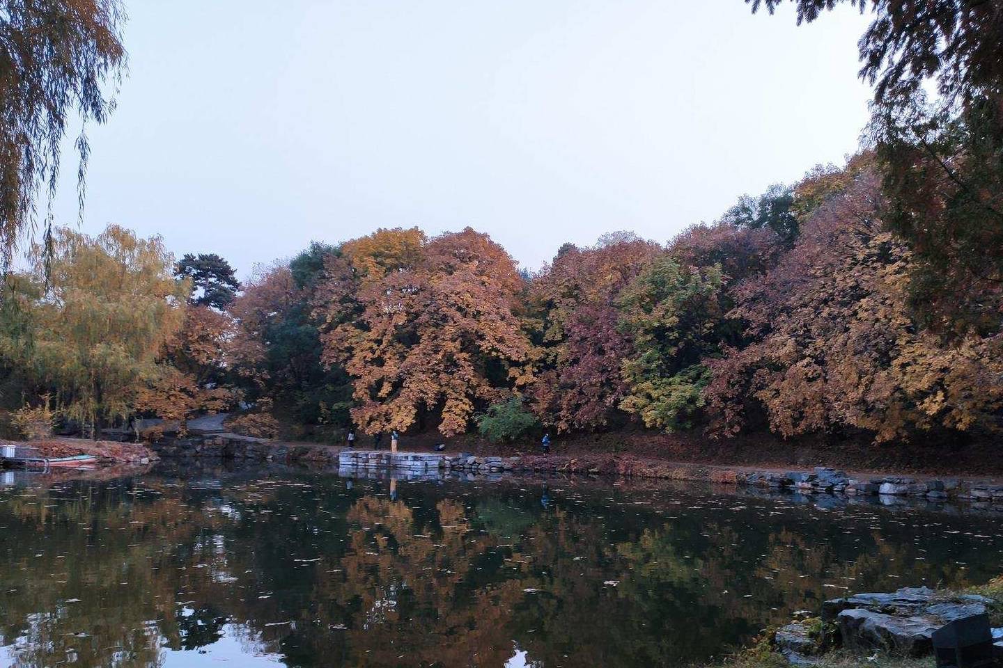 原创 余晖中的颐和园湖边，万寿山上的精灵，宁静的后湖17