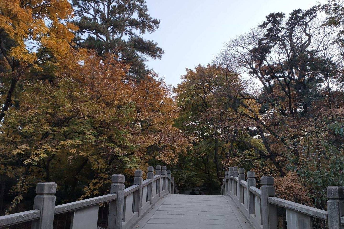 原创 余晖中的颐和园湖边，万寿山上的精灵，宁静的后湖18