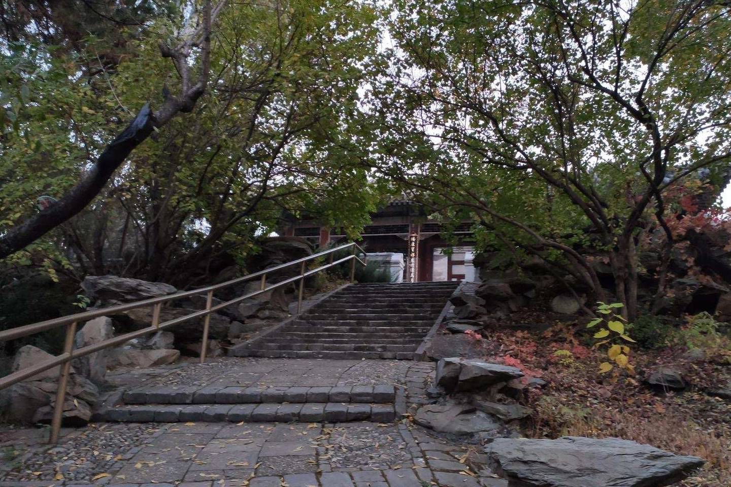 原创 余晖中的颐和园湖边，万寿山上的精灵，宁静的后湖20