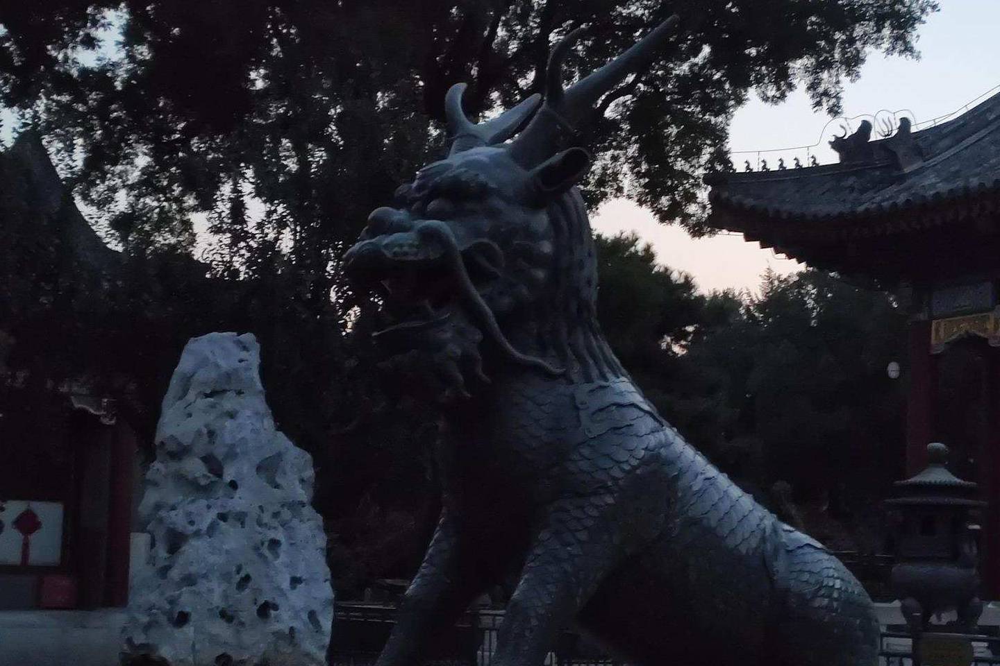 原创 余晖中的颐和园湖边，万寿山上的精灵，宁静的后湖21