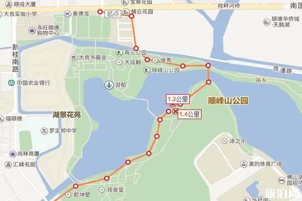 顺德顺峰山公园油菜花在哪儿2