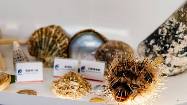 涠洲岛,北海旅游最不可错过的景点,你打卡了吗?1