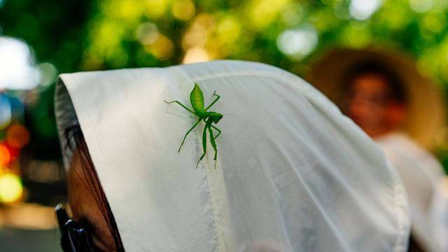 涠洲岛,北海旅游最不可错过的景点,你打卡了吗?4