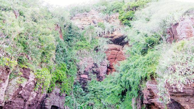 鳄鱼山,涠洲岛最不能错过的景点,火山地貌太震撼了7