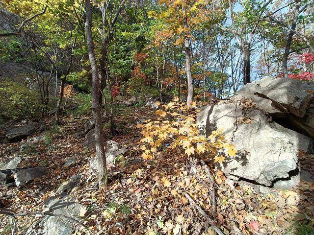 东北乃至全国最好的红叶，就在这个地方可以看到17