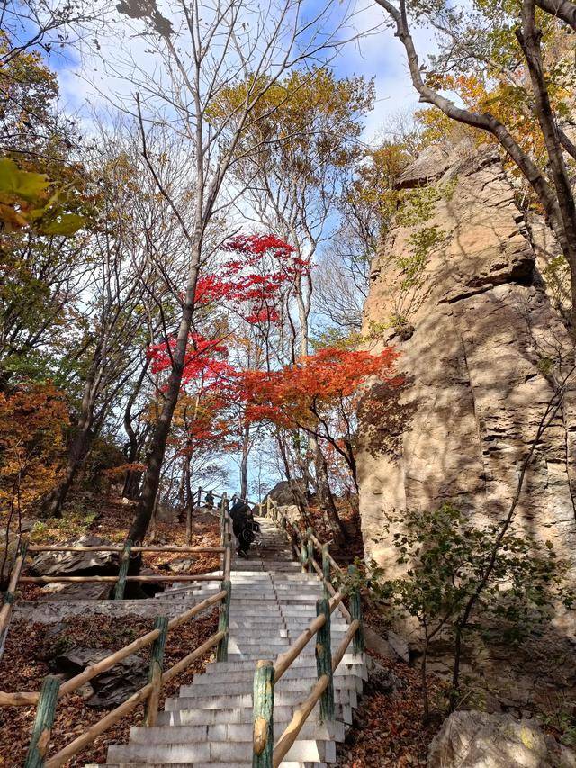 东北乃至全国最好的红叶，就在这个地方可以看到19