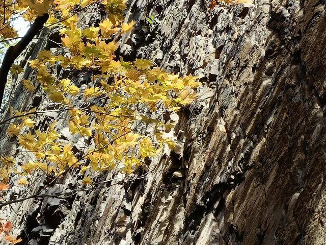 东北乃至全国最好的红叶，就在这个地方可以看到27