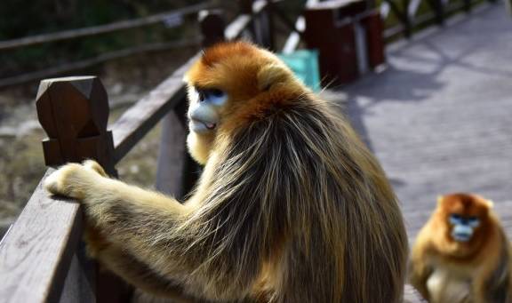 原创 我国跨越南北方的5个省,2个常被“误解”,江苏是南方还是北方?6