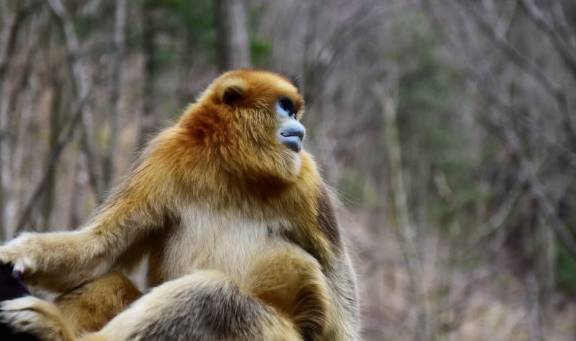 原创 我国跨越南北方的5个省,2个常被“误解”,江苏是南方还是北方?7