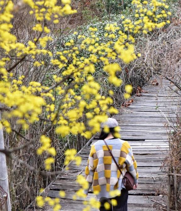 原创 我国跨越南北方的5个省,2个常被“误解”,江苏是南方还是北方?12