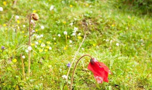 原创 我国跨越南北方的5个省,2个常被“误解”,江苏是南方还是北方?10