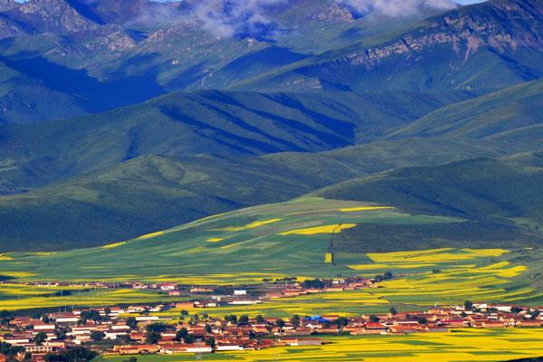 2022赏门源油菜花最佳时间 什么季节开2