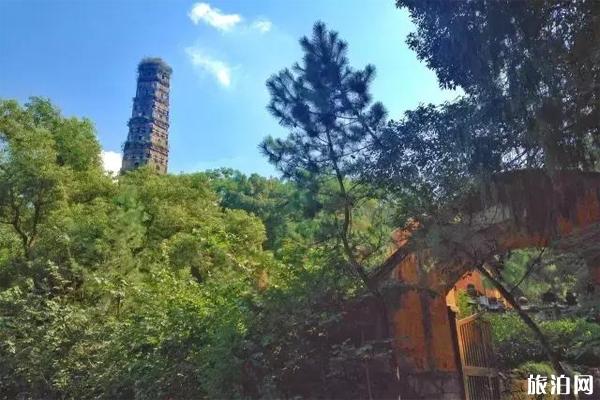 天台县观赏油菜花地推荐2