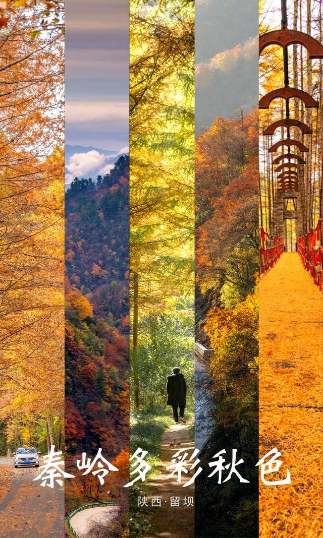 2021年留坝红叶季最新游玩全攻略,带你畅玩秦岭多彩之秋1