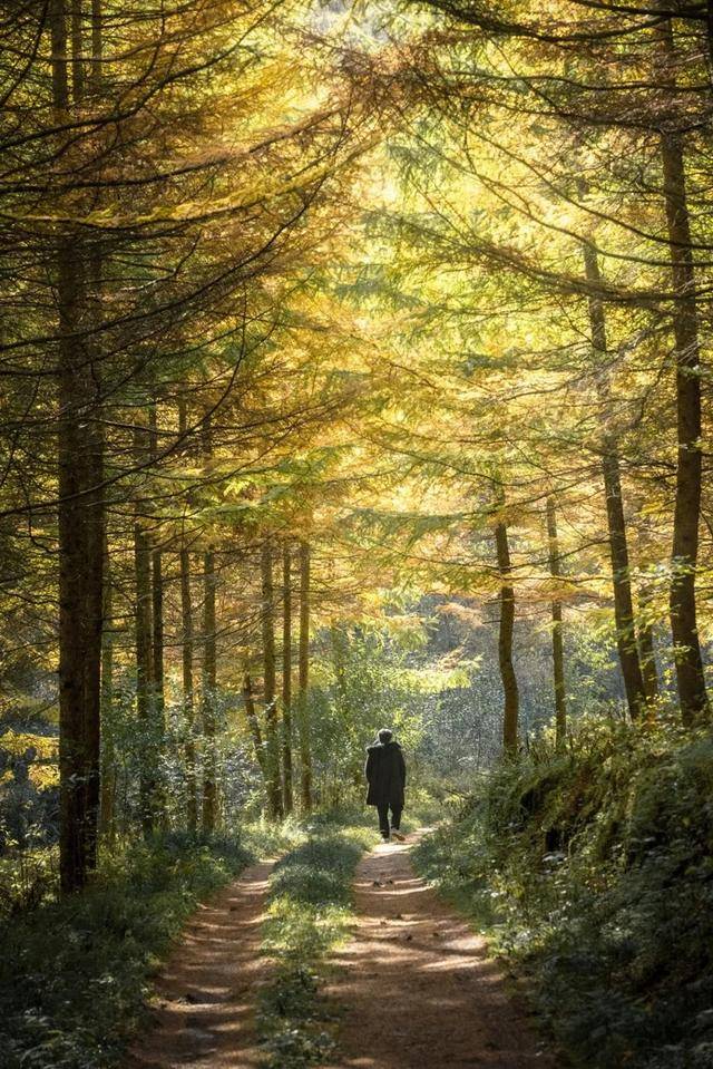 2021年留坝红叶季最新游玩全攻略,带你畅玩秦岭多彩之秋3