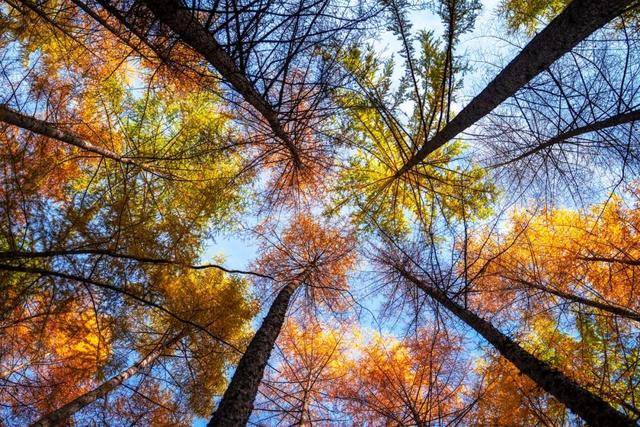 2021年留坝红叶季最新游玩全攻略,带你畅玩秦岭多彩之秋4