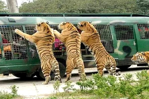 北京春季周边自驾游好去处3