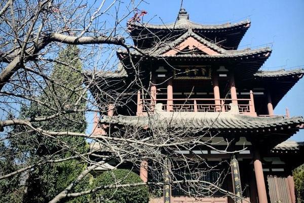 2022西安踏青去什么地方最合适1