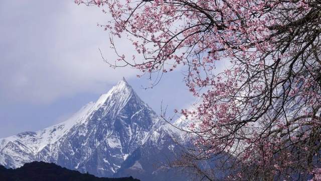 春光懒困倚微风，桃花一簇笑寒冬5