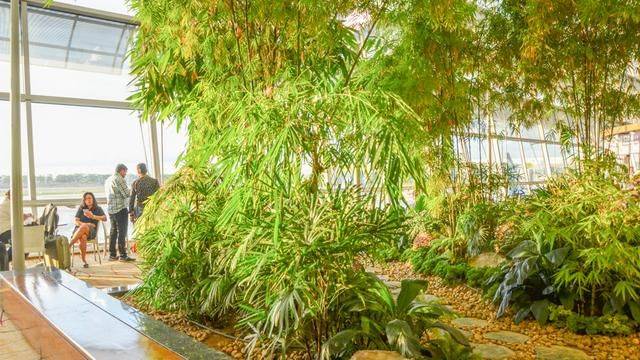 世界度假胜地关门了!这个岛国如果重新开放,哪还有三亚什么事?20