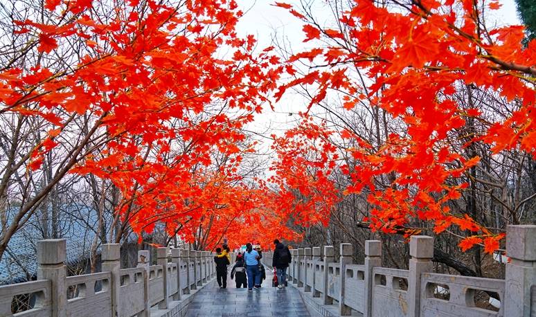 河北石家庄这个神奇名山,580米悬崖峭壁之上,居然有个古战场7