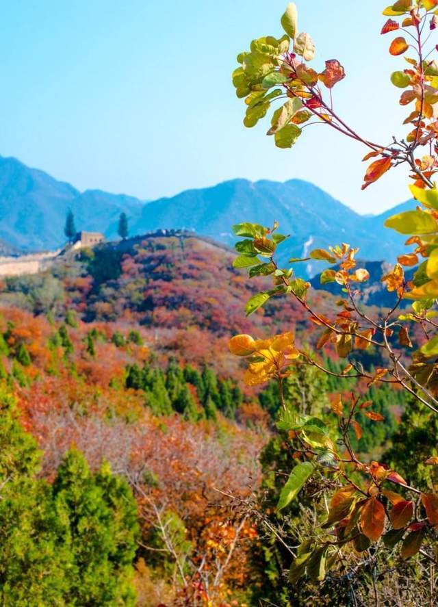 春天最是登高时,推荐适合中老年朋友爬的山2