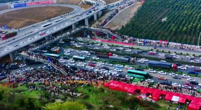 2022贵安樱花园人多吗 贵州樱花景点有哪些2