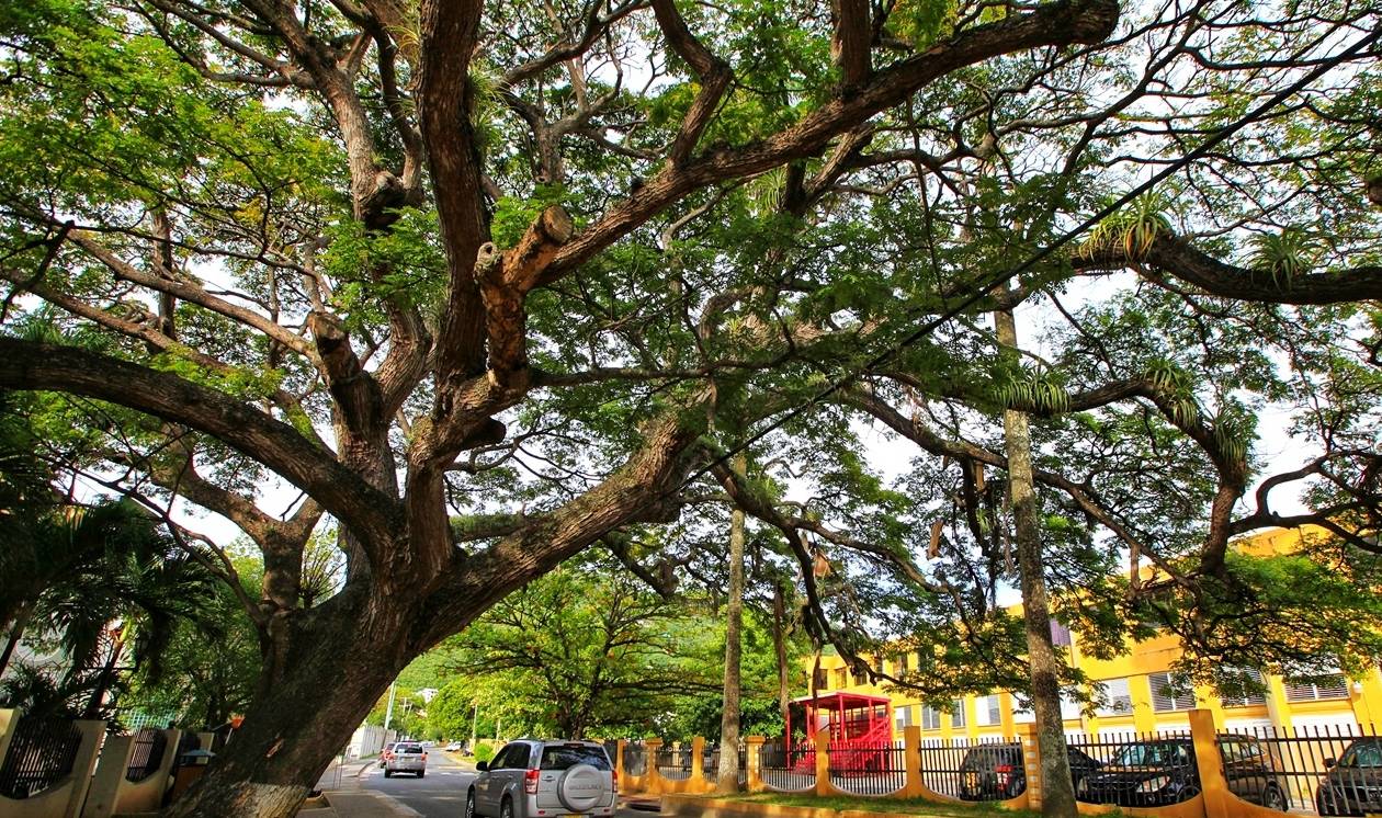 原创 加勒比避税天堂英属维京:曾只欢迎亿万富豪,风景超美城却如小镇5