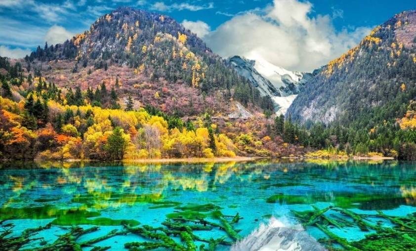 原创 中国4个必去的自然景点,个个堪比人间天堂,你去过几个?1