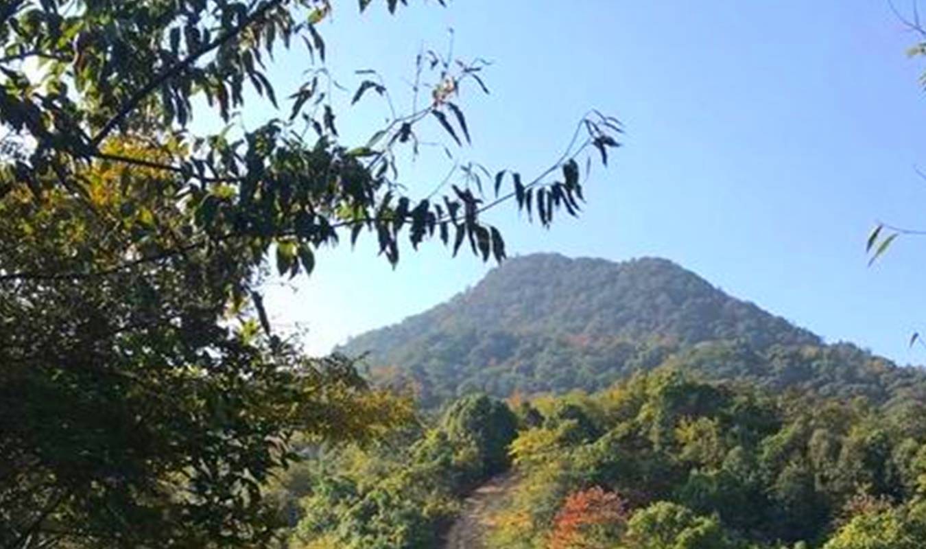 原创 杭州适合踏青的三大好去处,有山有水有花,快去行动吧4