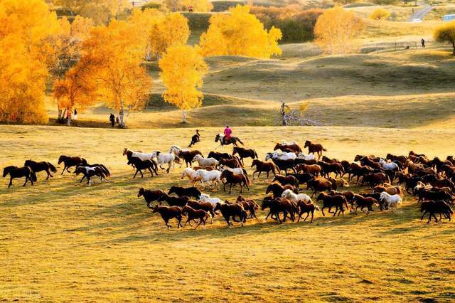 游徙乌兰布统,八百里瀚海的奇迹2